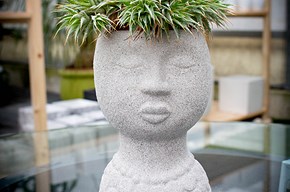 Vaso grigio con pianta